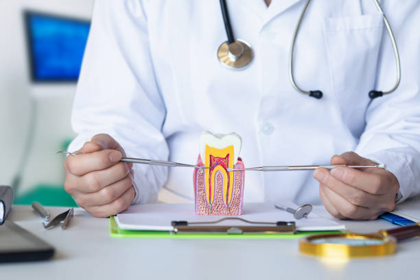 Best Broken or Chipped Tooth Repair in Hampstead, MD
